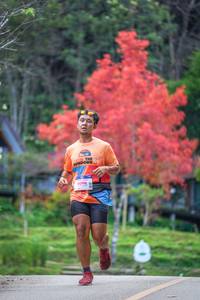 BIB: 1096
                            <button type="button" onclick="openModal(19239003)" class="btn btn-primary btn-sm float-right btn-popup" data-toggle="modal" data-target=".modal-high-quality">
                        <i class="fas fa-shopping-cart"></i> Add to Cart
                    </button>
                                            <button type="button" onclick="isThisMe(19239003, true)" class="btn btn-success btn-sm float-right btn-popup btn-isme hidden" data-toggle="tooltip" data-placement="bottom" title="นี่คือรูปของคุณใช่ไหม คลิกที่นี่เพื่อเอาเข้าอัลบั้ม">
                        <i class="fas fa-plus"></i> Add to album
                    </button>
                    <button type="button" onclick="isThisMe(19239003, false)" class="btn btn-warning btn-sm float-right btn-popup btn-isnotme hidden">
                        <i class="fas fa-ban"></i> Remove from album
                    </button>